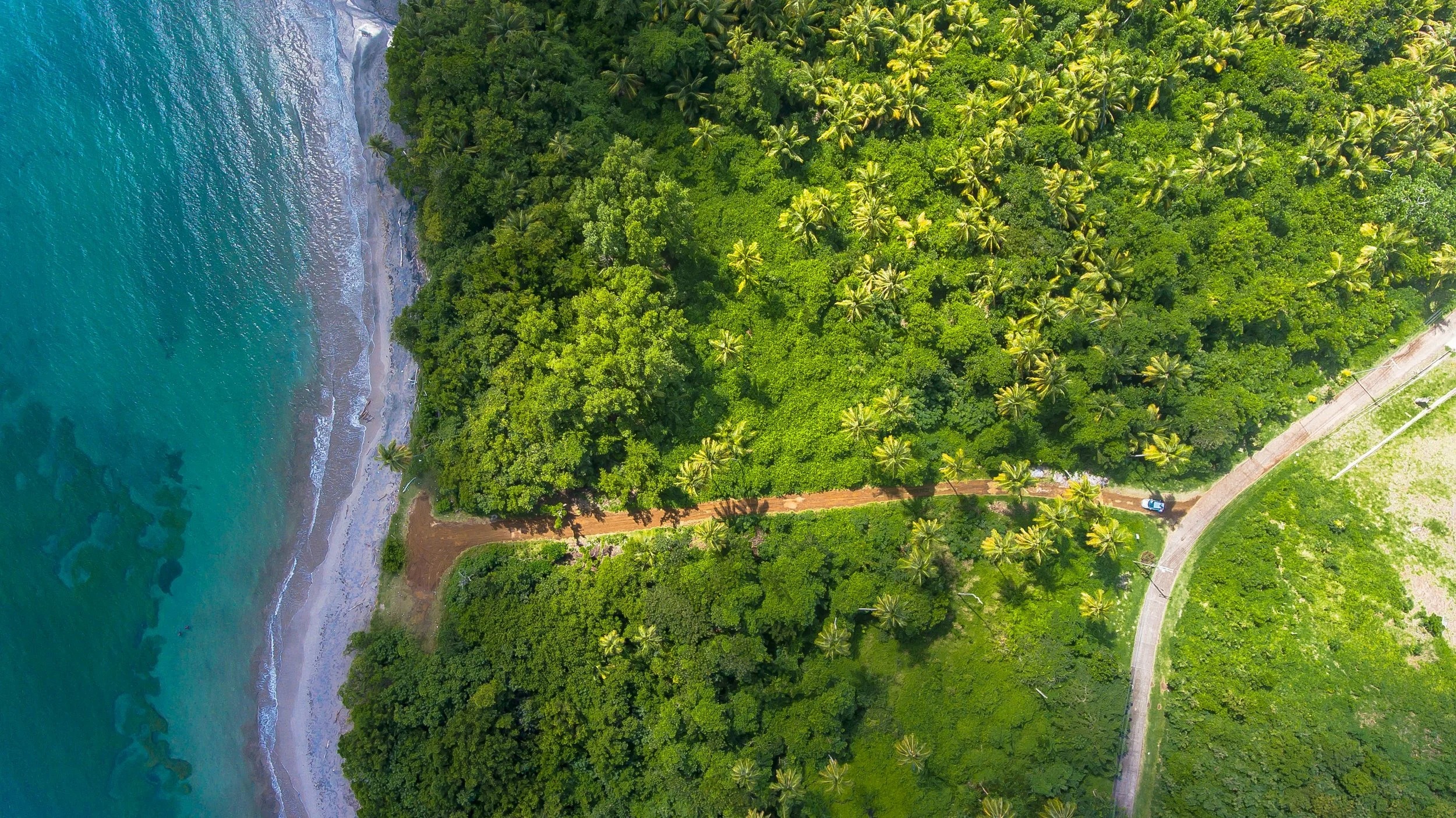 Micro e pequenas empresas na transição climática