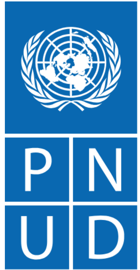 Logo PNUD ONU Brasil