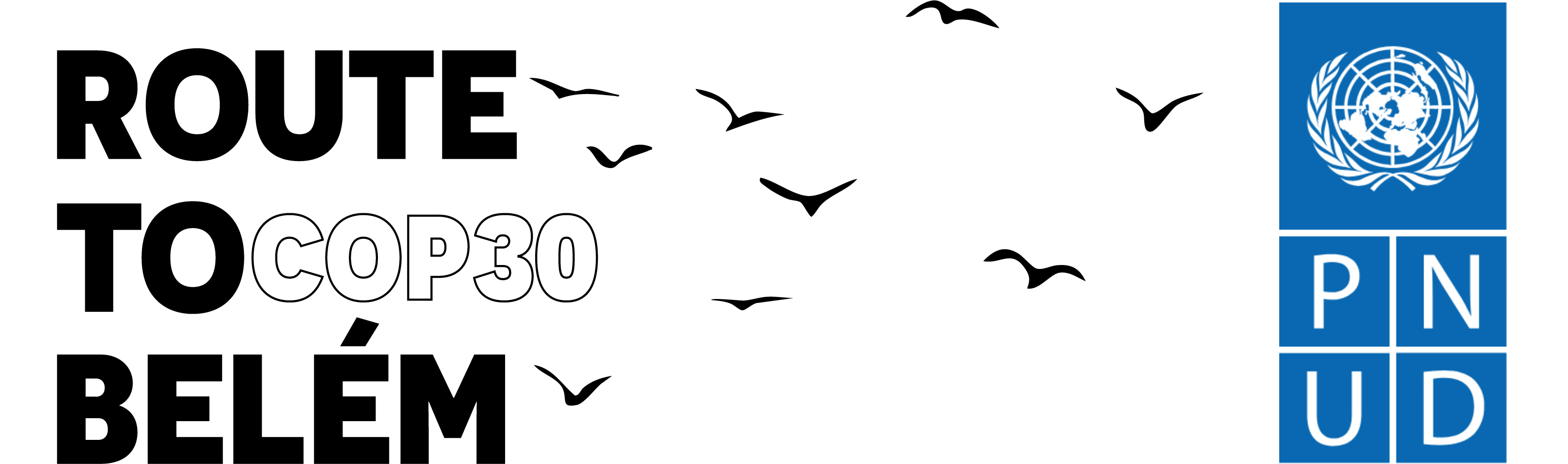 Logo Route to Belem